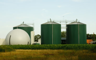 4.4 MW Biogas Plant in South Africa